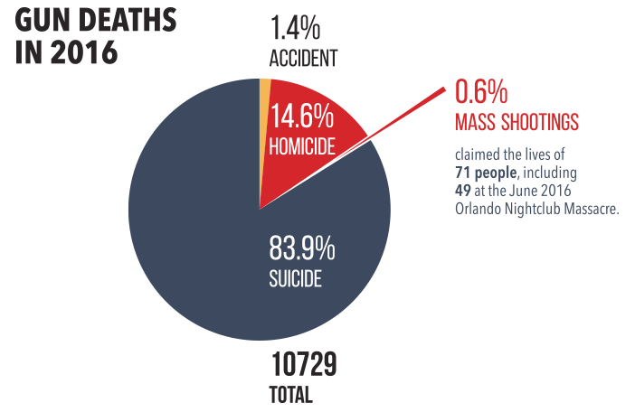 Gun Deaths in 2016